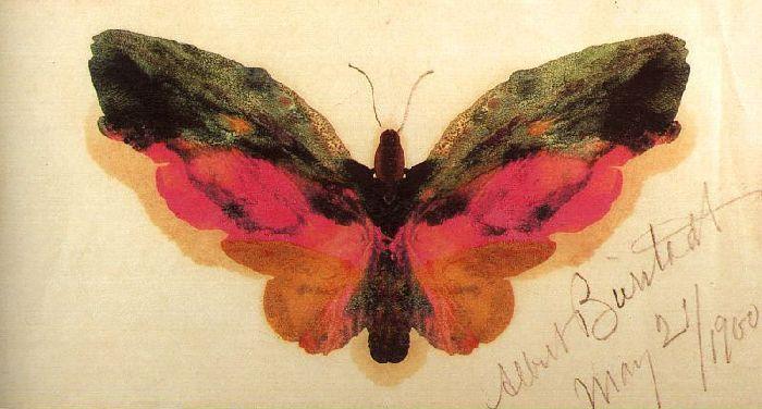 WikiOO.org - אנציקלופדיה לאמנויות יפות - ציור, יצירות אמנות Albert Bierstadt - Butterfly 1
