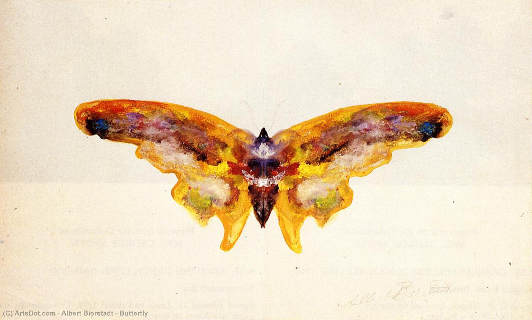WikiOO.org - Encyclopedia of Fine Arts - Maleri, Artwork Albert Bierstadt - Butterfly