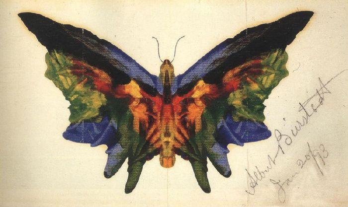 Wikoo.org - موسوعة الفنون الجميلة - اللوحة، العمل الفني Albert Bierstadt - Butterfly