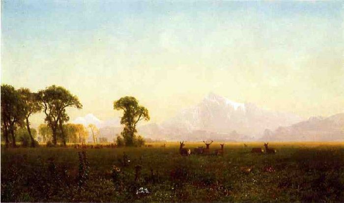 Wikioo.org - Encyklopedia Sztuk Pięknych - Malarstwo, Grafika Albert Bierstadt - Deer Grazing, Grand Tetons, Wyoming