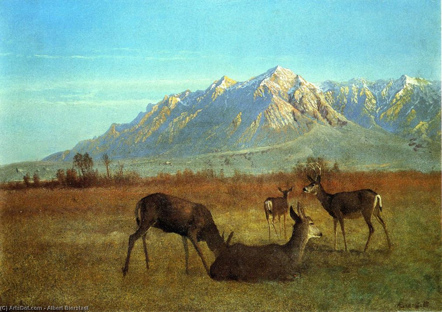 Wikioo.org - The Encyclopedia of Fine Arts - Painting, Artwork by Albert Bierstadt - Deer in a Mountain Home