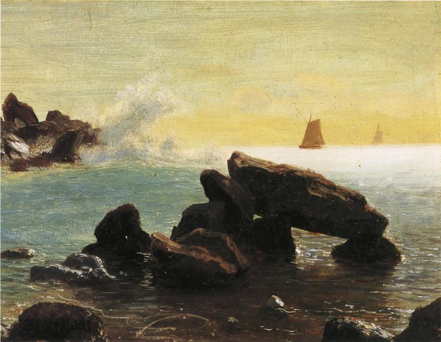 Wikioo.org - The Encyclopedia of Fine Arts - Painting, Artwork by Albert Bierstadt - Farralon Islands, California