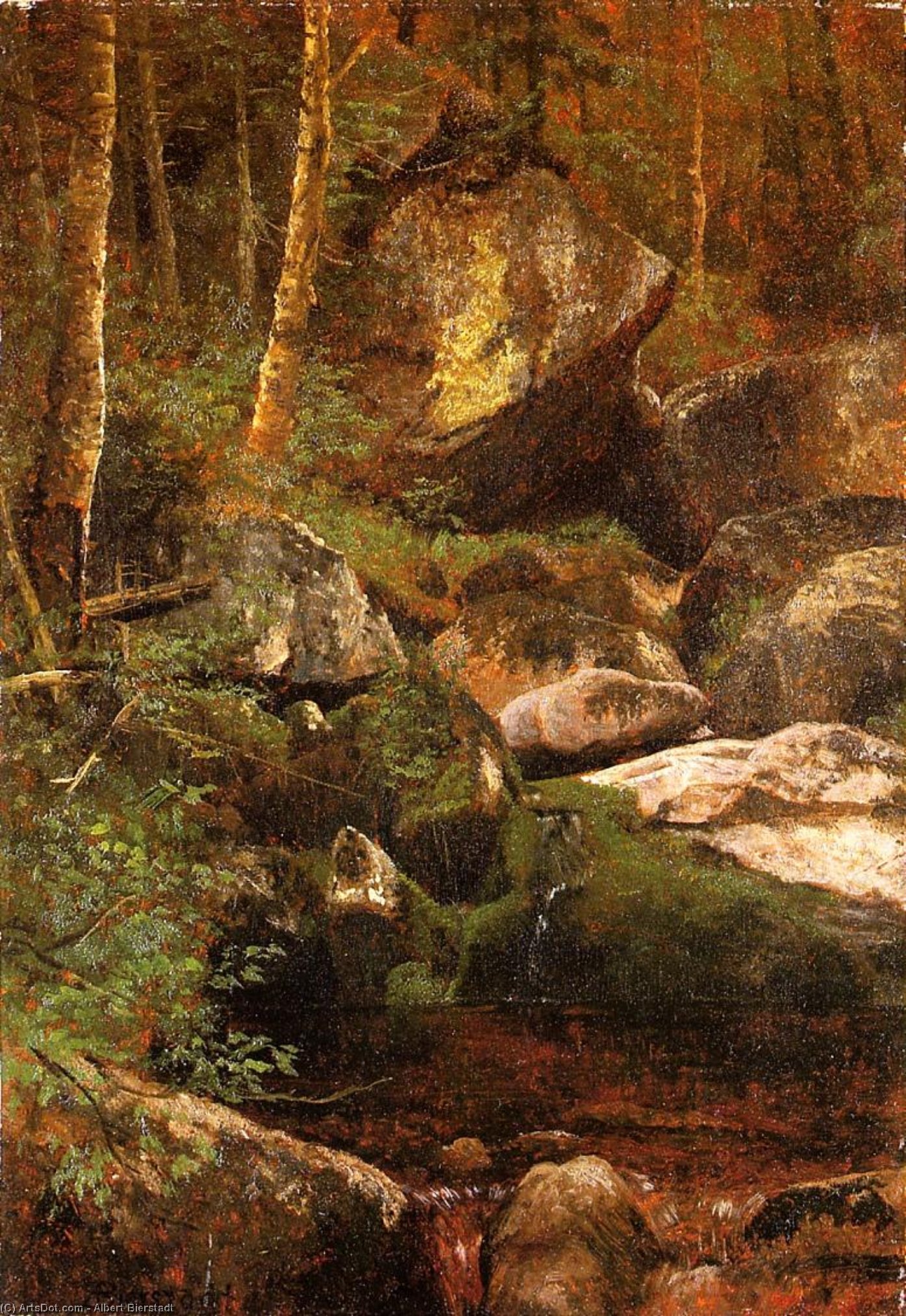 Wikioo.org - The Encyclopedia of Fine Arts - Painting, Artwork by Albert Bierstadt - Forest Stream
