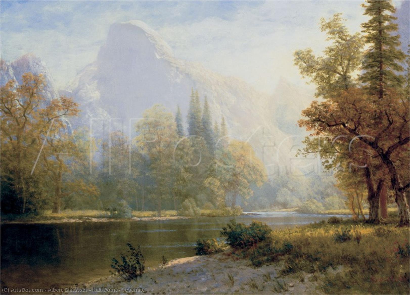 Wikioo.org - The Encyclopedia of Fine Arts - Painting, Artwork by Albert Bierstadt - Half Dome, Yosemite