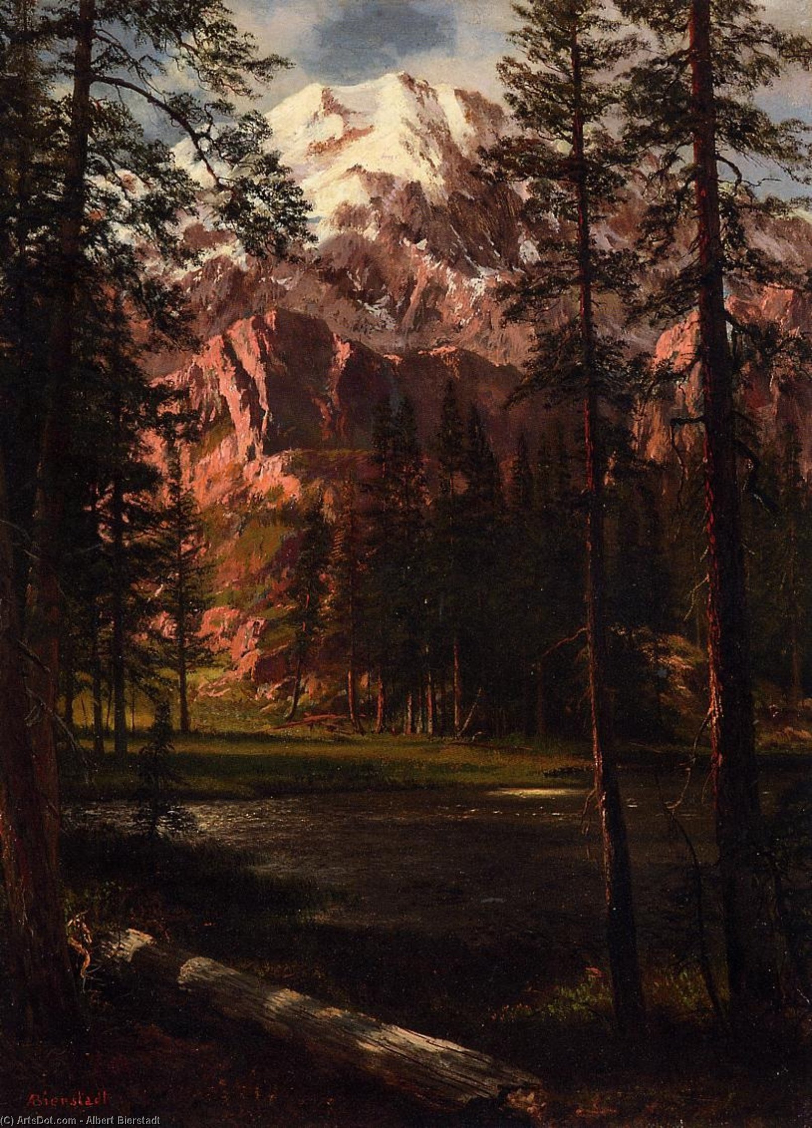 Wikioo.org - The Encyclopedia of Fine Arts - Painting, Artwork by Albert Bierstadt - Mountain Lake I