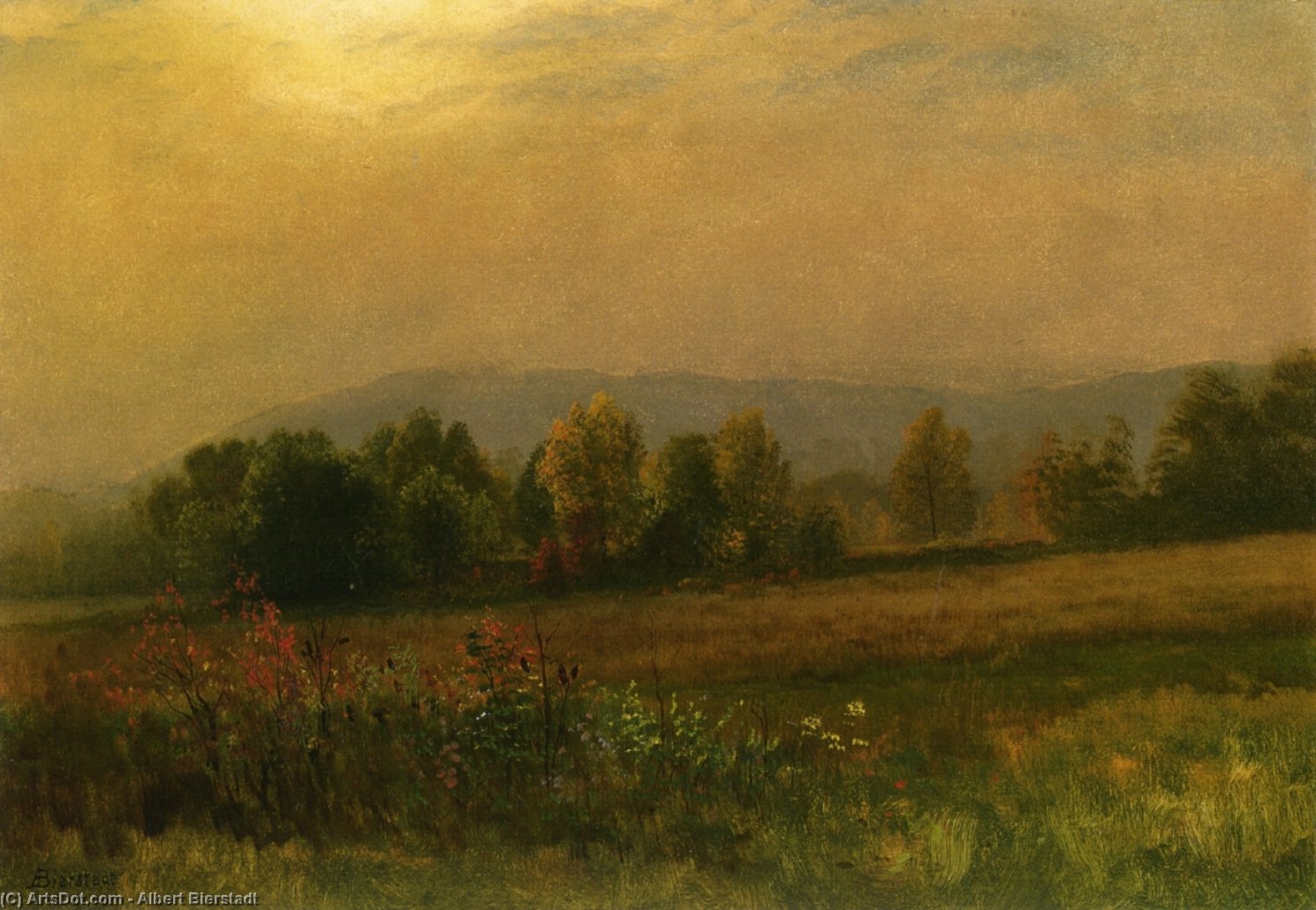 Wikioo.org - The Encyclopedia of Fine Arts - Painting, Artwork by Albert Bierstadt - New England Landscape