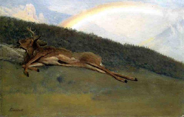 Wikioo.org - The Encyclopedia of Fine Arts - Painting, Artwork by Albert Bierstadt - Rainbow over a Fallen Stag