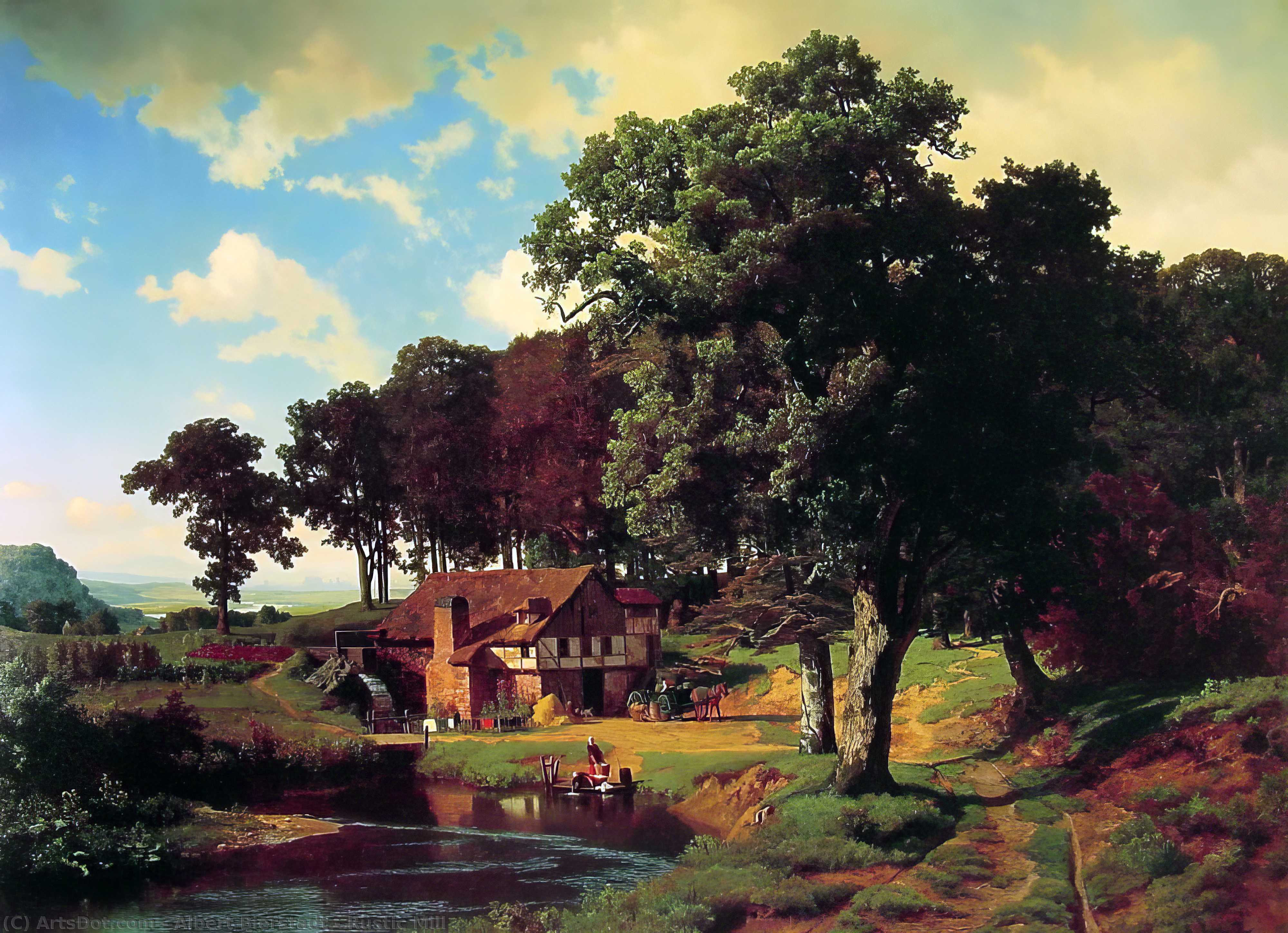 WikiOO.org - Энциклопедия изобразительного искусства - Живопись, Картины  Albert Bierstadt - деревенская мельница