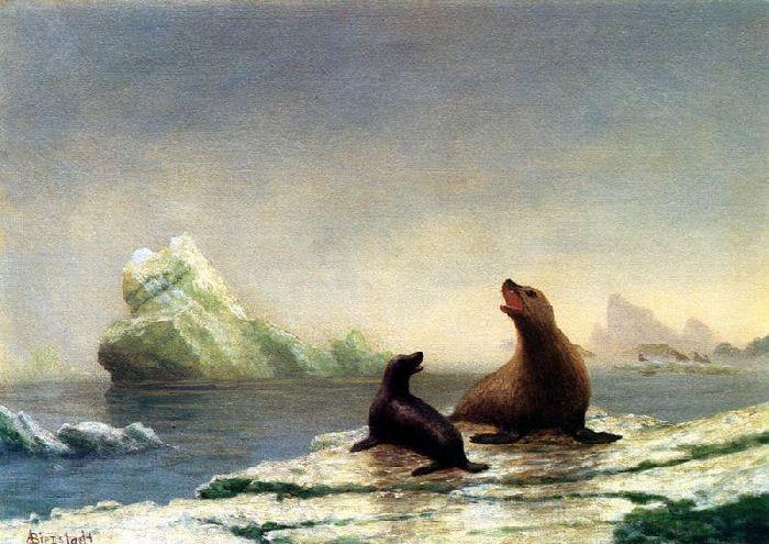 Wikioo.org - Die Enzyklopädie bildender Kunst - Malerei, Kunstwerk von Albert Bierstadt - Seehunde