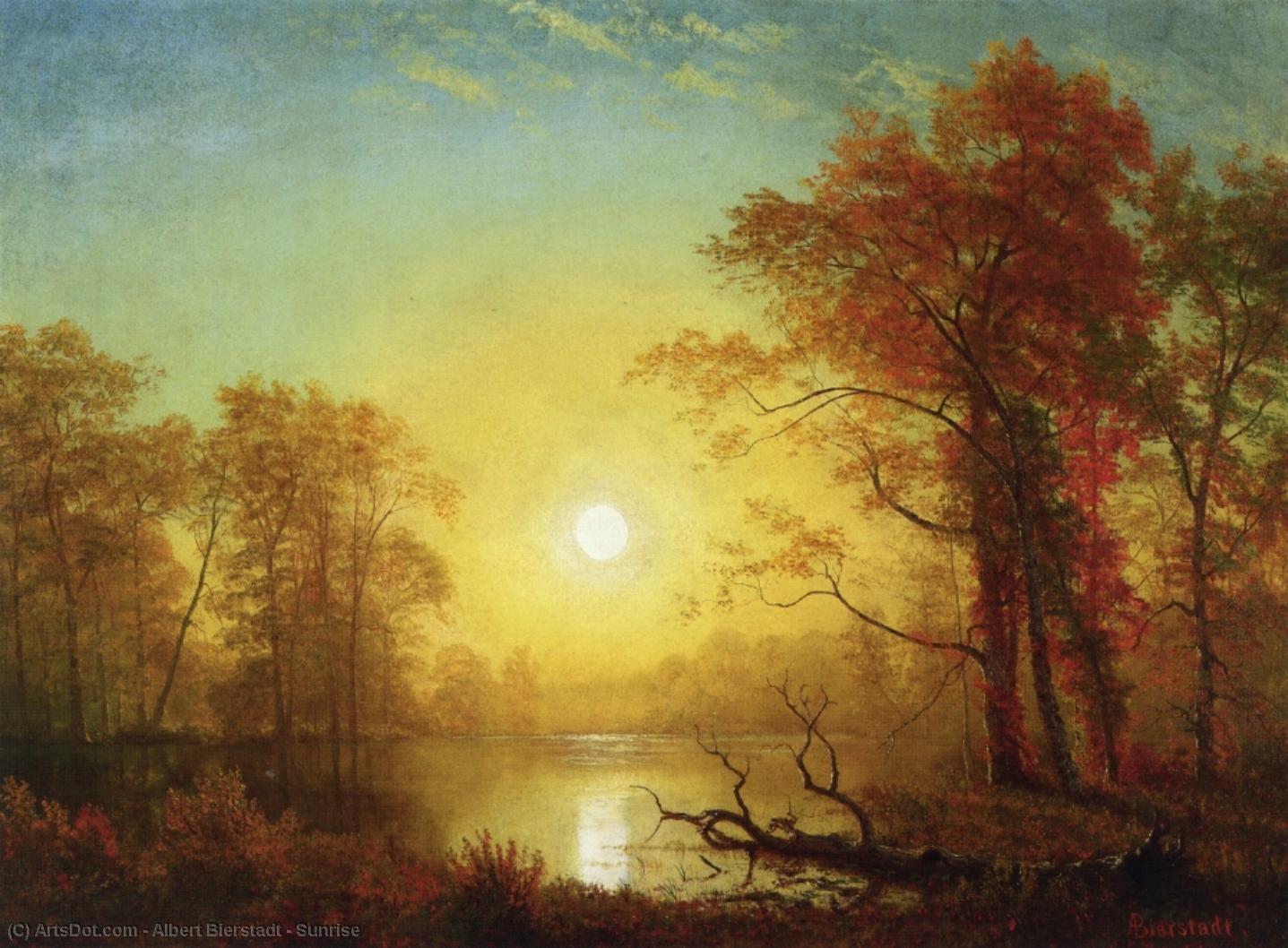 Wikioo.org – L'Enciclopedia delle Belle Arti - Pittura, Opere di Albert Bierstadt - Aurora