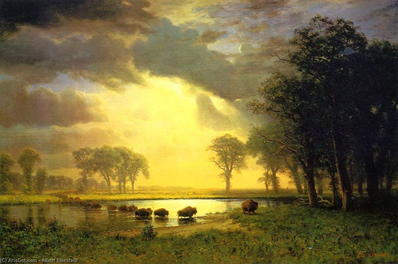 Wikioo.org - The Encyclopedia of Fine Arts - Painting, Artwork by Albert Bierstadt - The Buffalo Trail