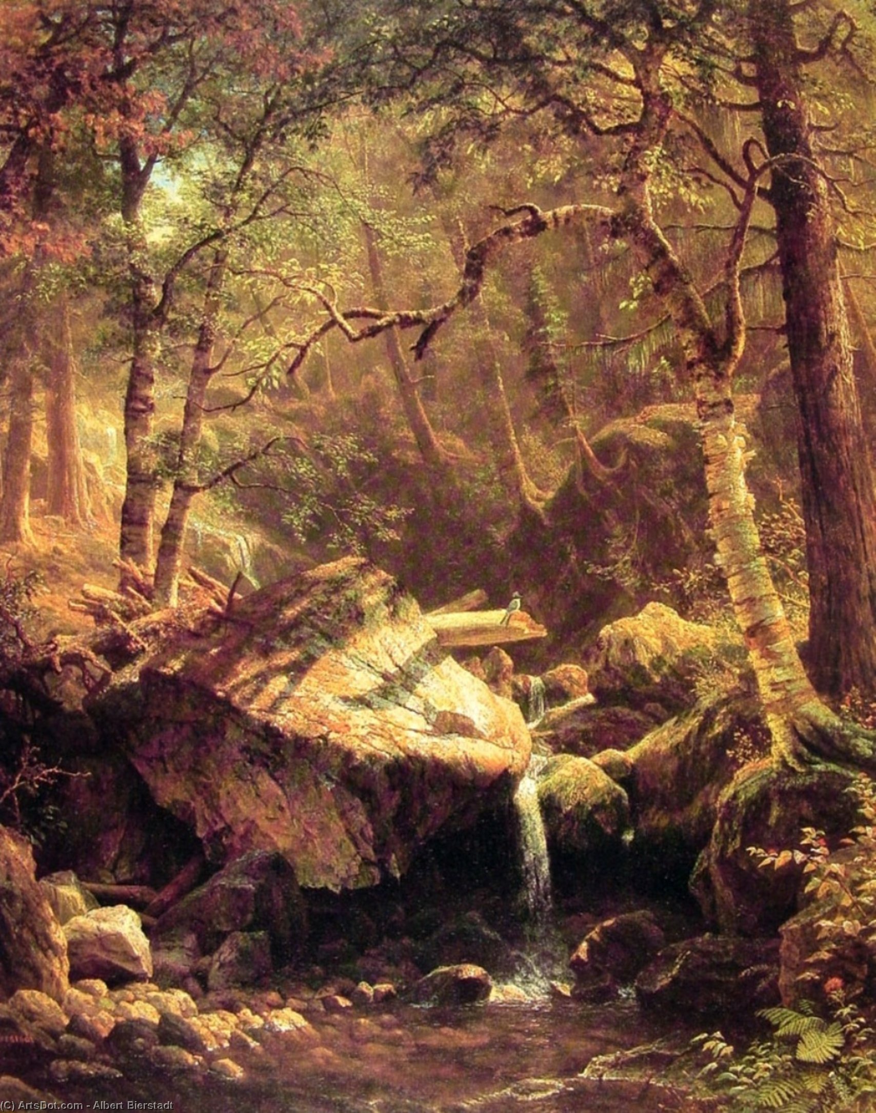 WikiOO.org - Enciklopedija dailės - Tapyba, meno kuriniai Albert Bierstadt - The Mountain Brook