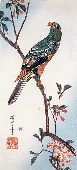 Wikioo.org - The Encyclopedia of Fine Arts - Painting, Artwork by Ando Hiroshige - Aronia and Parrot