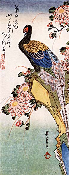 WikiOO.org - Encyclopedia of Fine Arts - Maalaus, taideteos Ando Hiroshige - Chrysanthemum and Pheasant
