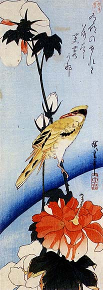 WikiOO.org - אנציקלופדיה לאמנויות יפות - ציור, יצירות אמנות Ando Hiroshige - Hibiscus and Korean Nightingale