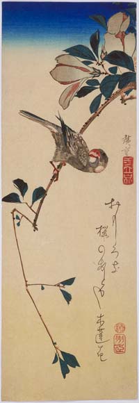 Wikoo.org - موسوعة الفنون الجميلة - اللوحة، العمل الفني Ando Hiroshige - Magnolia Obovata