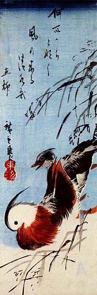 WikiOO.org - Encyclopedia of Fine Arts - Målning, konstverk Ando Hiroshige - Marsh Grasses and Mandarin Ducks
