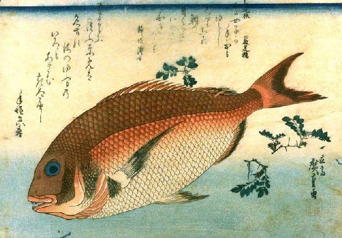 WikiOO.org - 百科事典 - 絵画、アートワーク Ando Hiroshige - 赤 Sea-bream
