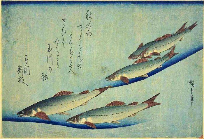 WikiOO.org - אנציקלופדיה לאמנויות יפות - ציור, יצירות אמנות Ando Hiroshige - Trout