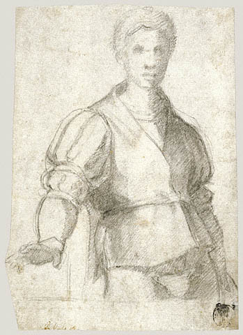 Wikioo.org - The Encyclopedia of Fine Arts - Painting, Artwork by Andrea Del Sarto - A Young Man (Study)