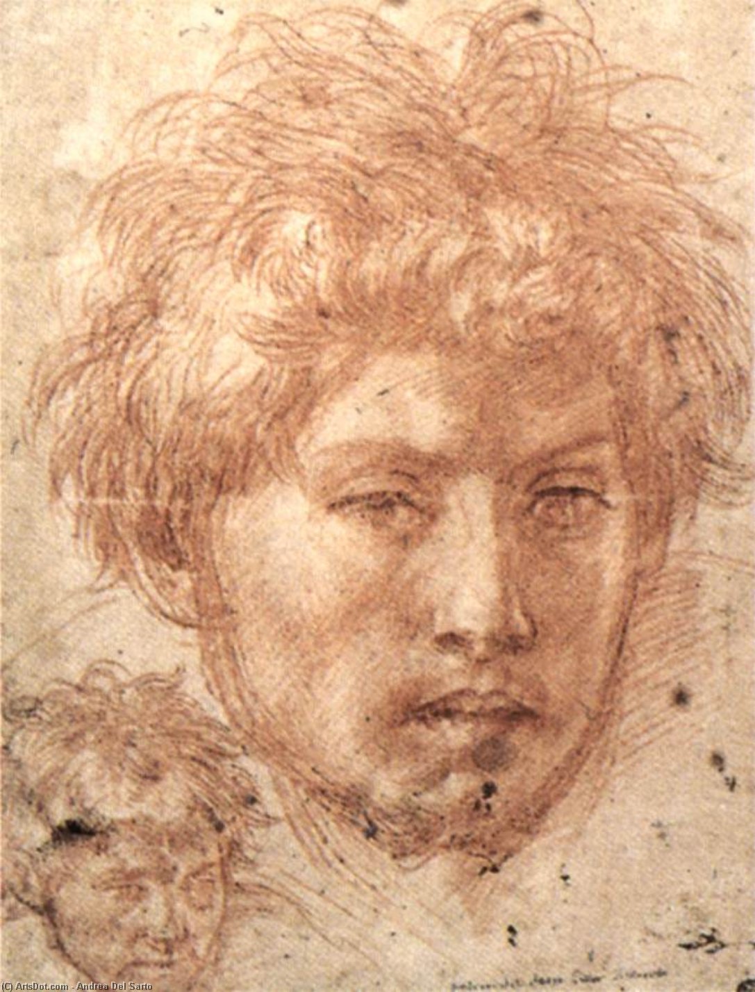 WikiOO.org - Enciclopédia das Belas Artes - Pintura, Arte por Andrea Del Sarto - Head of a Young Man