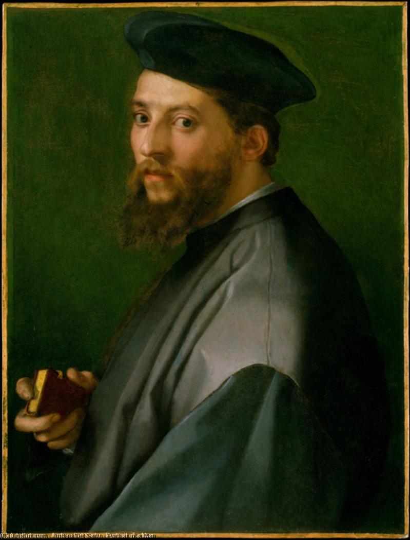 Wikioo.org - The Encyclopedia of Fine Arts - Painting, Artwork by Andrea Del Sarto - Portrait of a Man