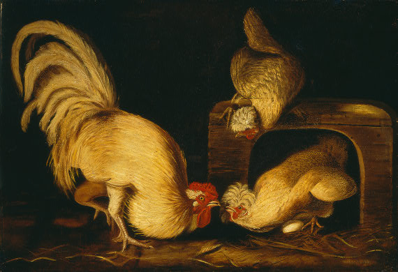 Wikoo.org - موسوعة الفنون الجميلة - اللوحة، العمل الفني John James Audubon - Farmyard Fowls