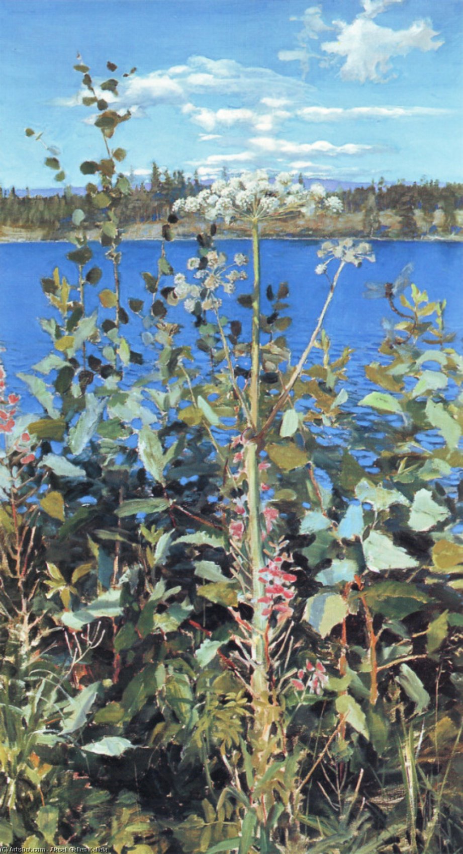 Wikioo.org - The Encyclopedia of Fine Arts - Painting, Artwork by Akseli Gallen Kallela - Wild Angelica