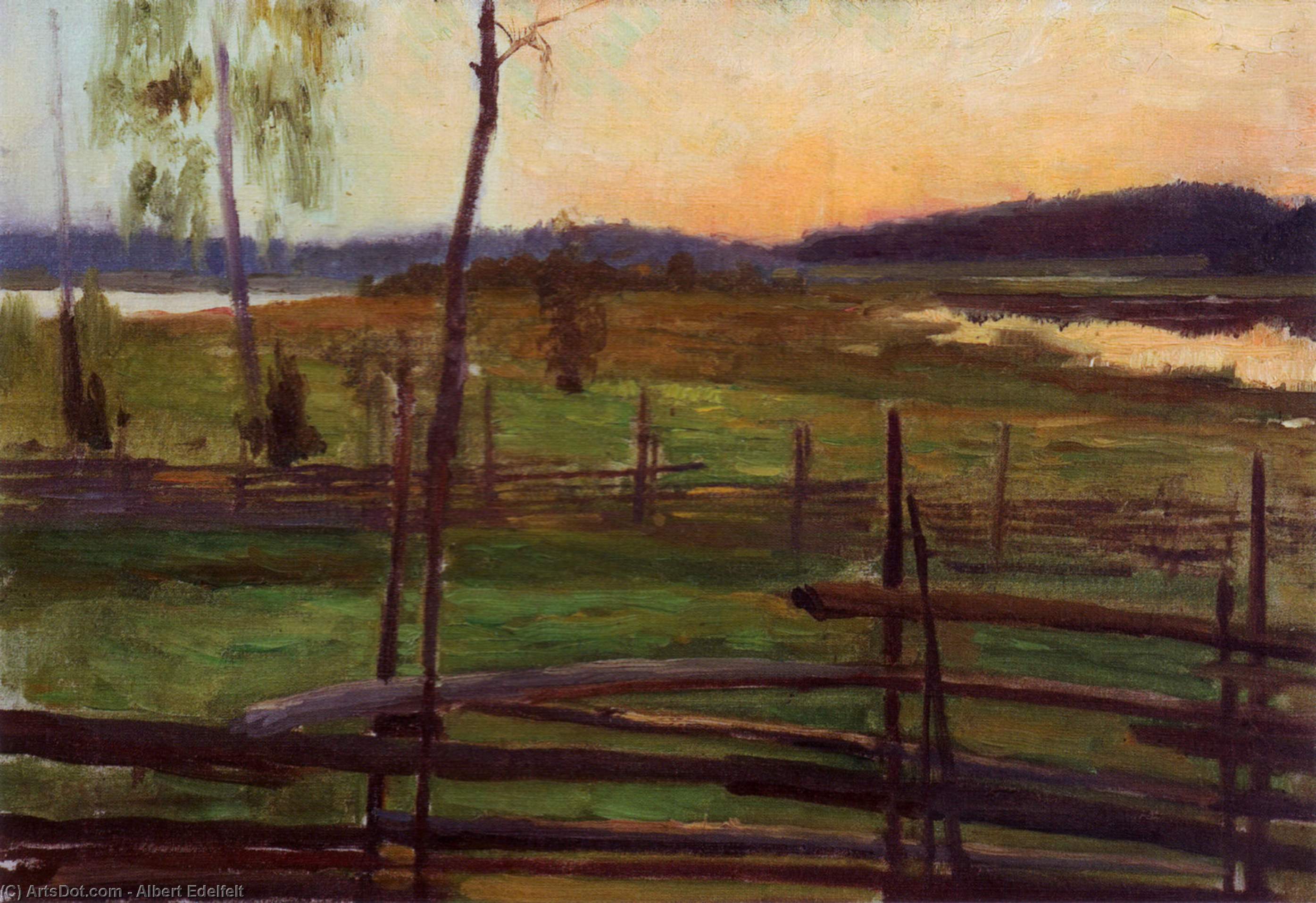 Wikioo.org - The Encyclopedia of Fine Arts - Painting, Artwork by Albert Edelfelt - Summer Evening