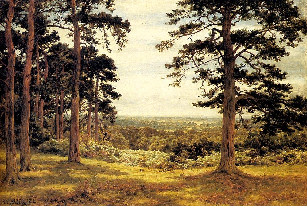 WikiOO.org - Encyclopedia of Fine Arts - Malba, Artwork Benjamin Williams Leader - A Peep Through The Pines