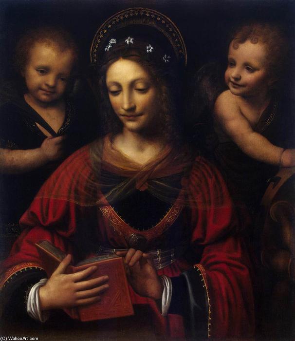 WikiOO.org - دایره المعارف هنرهای زیبا - نقاشی، آثار هنری Bernardino Luini - Saint Catherine