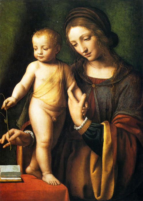 Wikioo.org - The Encyclopedia of Fine Arts - Painting, Artwork by Bernardino Luini - The Virgin And Child With A Columbine