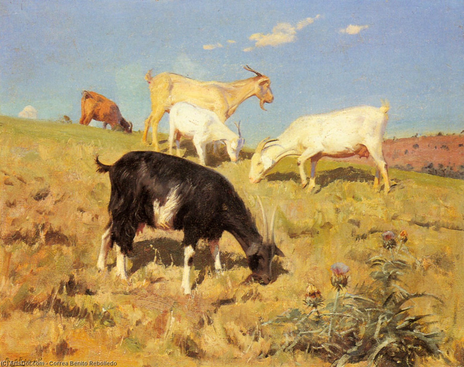 Wikioo.org - The Encyclopedia of Fine Arts - Painting, Artwork by Correa Benito Rebolledo - Goats Grazing On A Hillside