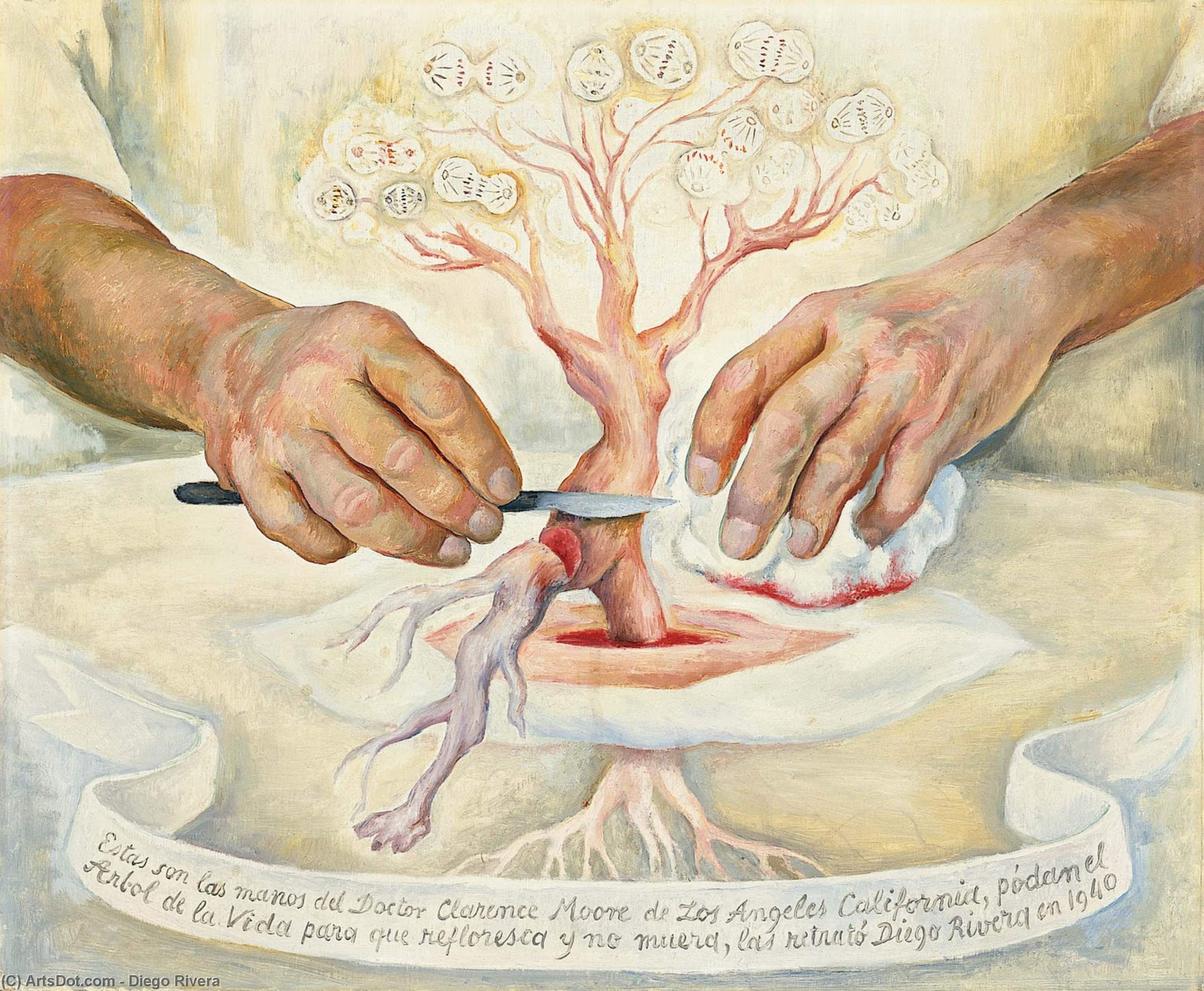 Wikioo.org – L'Encyclopédie des Beaux Arts - Peinture, Oeuvre de Diego Rivera - Les mains du Dr Moore