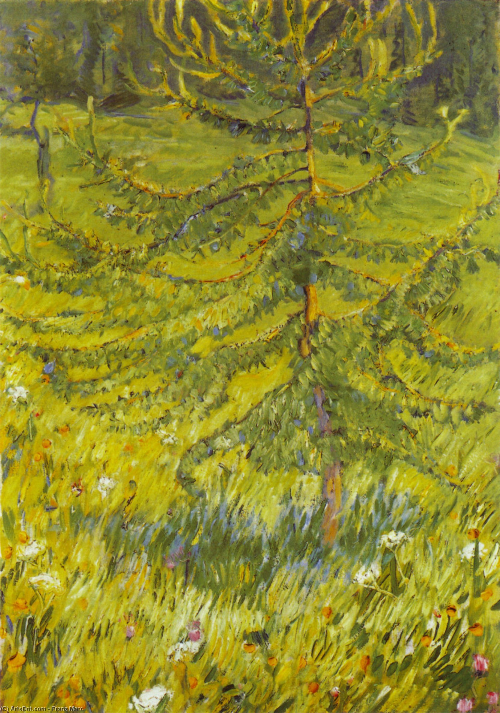 Wikioo.org - The Encyclopedia of Fine Arts - Painting, Artwork by Franz Marc - Larch Sapling