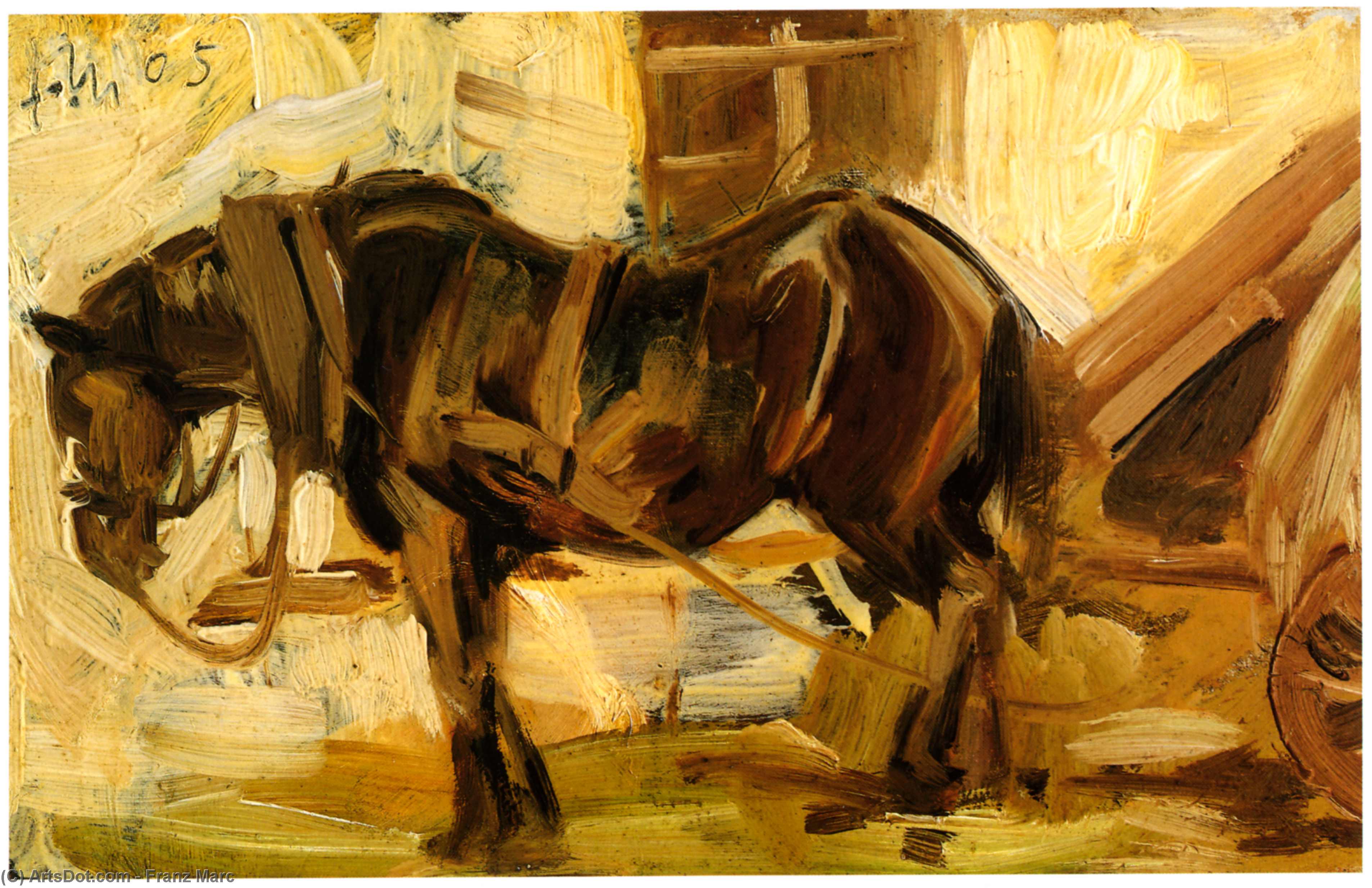 Wikoo.org - موسوعة الفنون الجميلة - اللوحة، العمل الفني Franz Marc - Small Horse Study