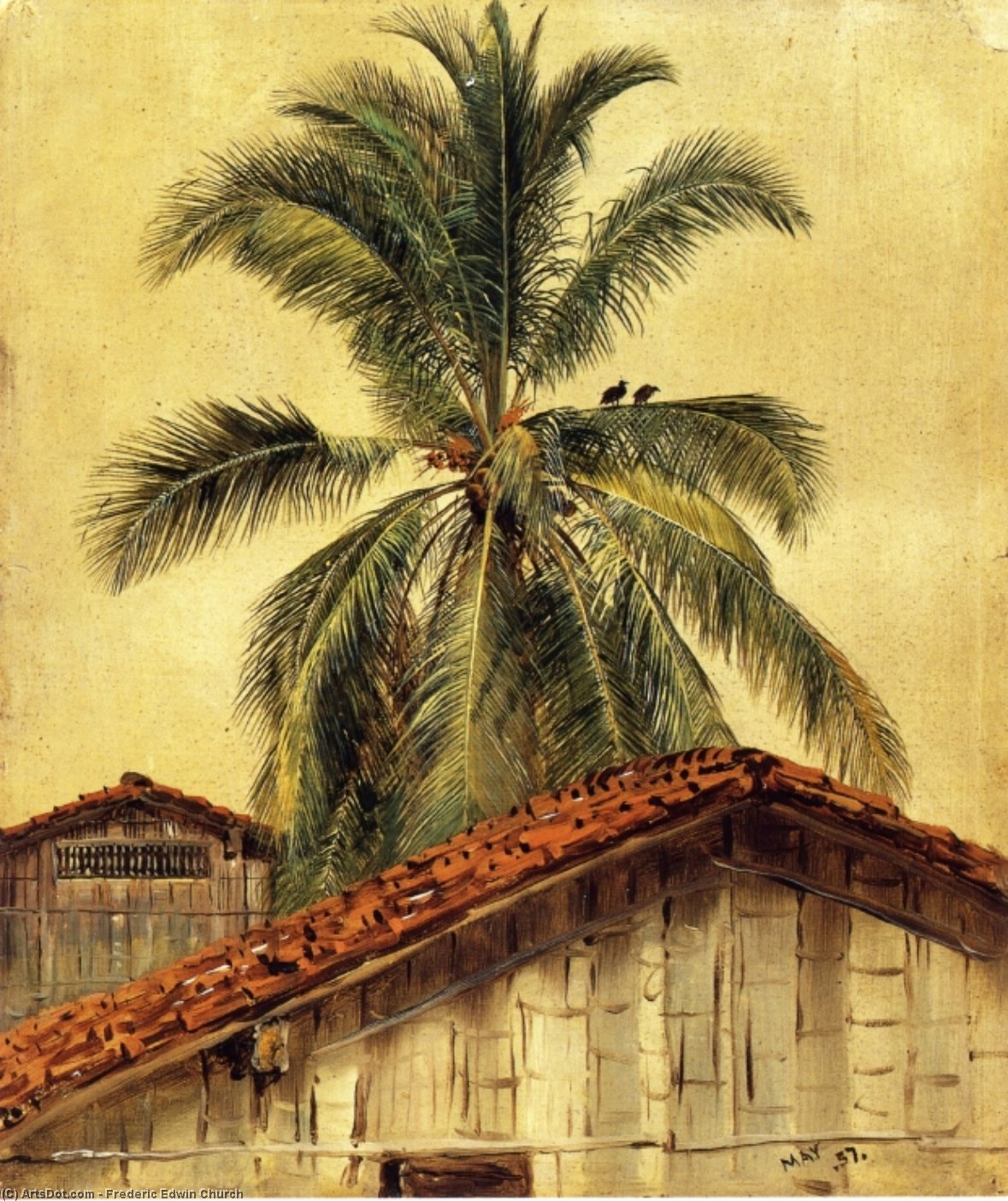 Wikioo.org - The Encyclopedia of Fine Arts - Painting, Artwork by Frederic Edwin Church - Palm Trees and Housetops, Ecuador