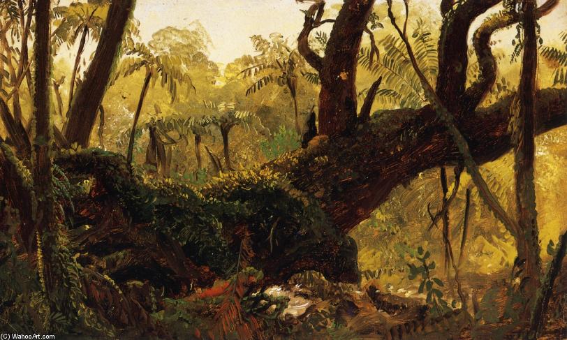 Wikioo.org - The Encyclopedia of Fine Arts - Painting, Artwork by Frederic Edwin Church - Rain Forest, Jamaica, West Indies