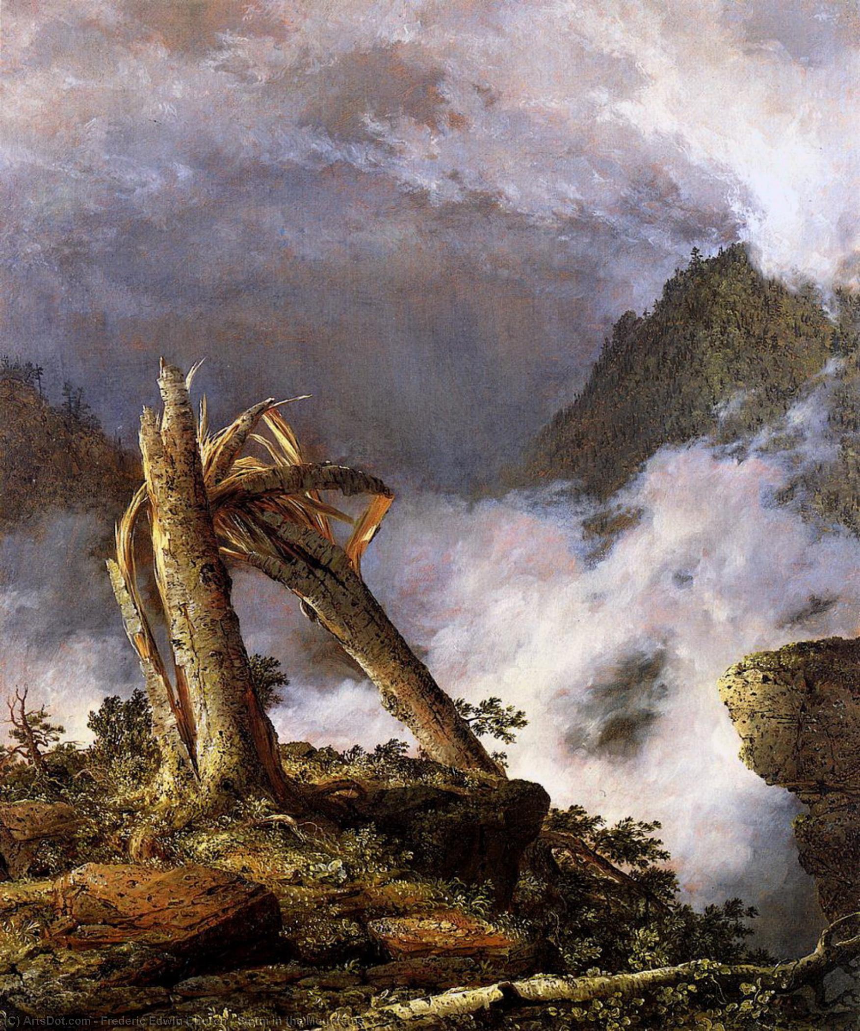 Wikioo.org - สารานุกรมวิจิตรศิลป์ - จิตรกรรม Frederic Edwin Church - Storm in the Mountains