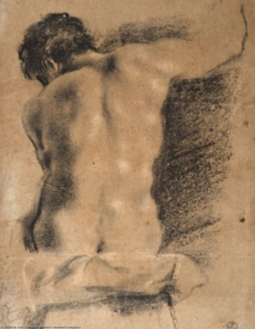 WikiOO.org - 백과 사전 - 회화, 삽화 Guercino (Barbieri, Giovanni Francesco) - Sitting young man from behind