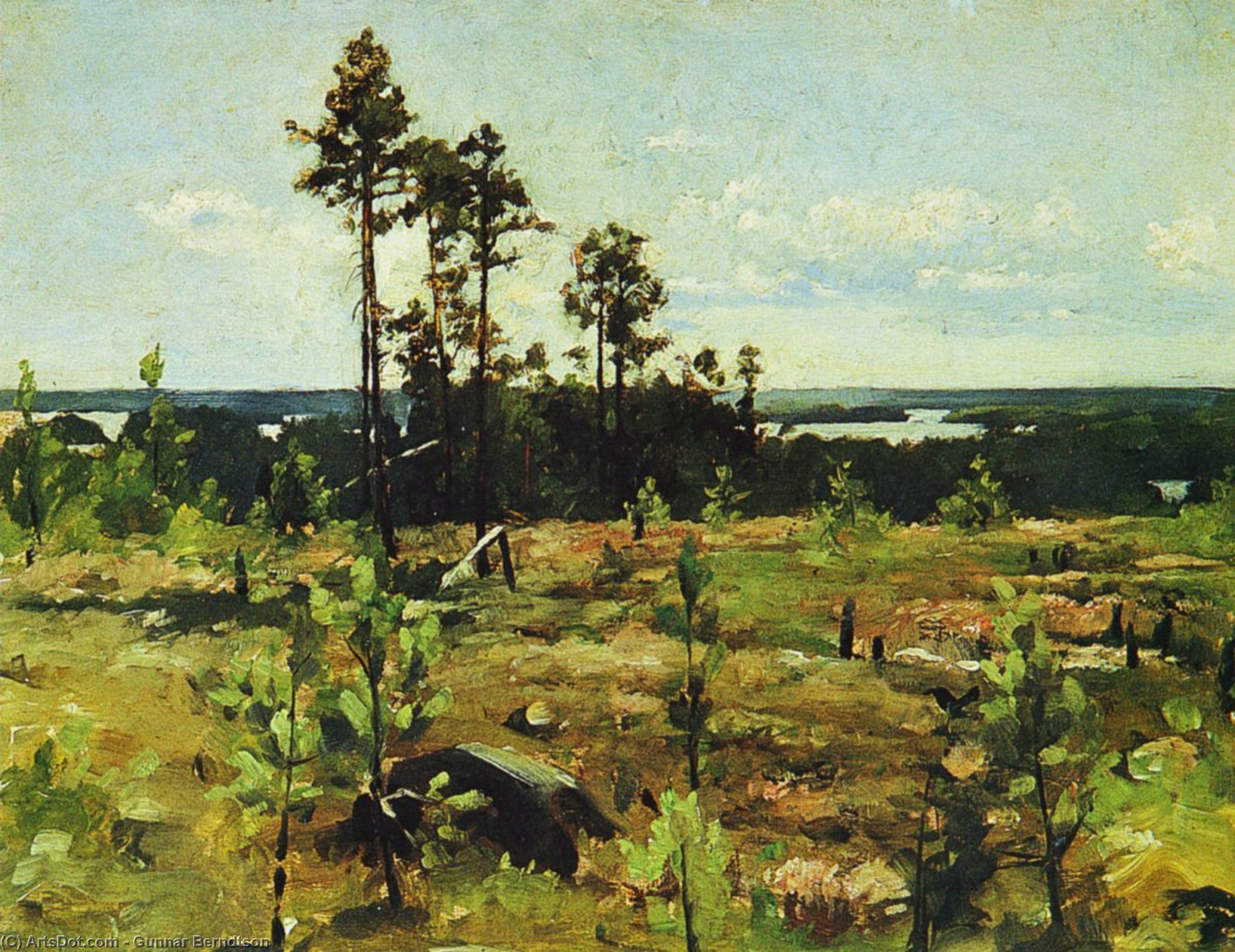 Wikioo.org - The Encyclopedia of Fine Arts - Painting, Artwork by Gunnar Berndtson - Maisema Pernajan Fantsnäsistä