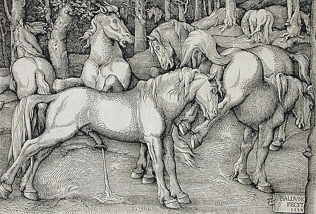 Wikioo.org - Encyklopedia Sztuk Pięknych - Malarstwo, Grafika Hans Baldung - Stallion and Kicking Mare with Wild Horses