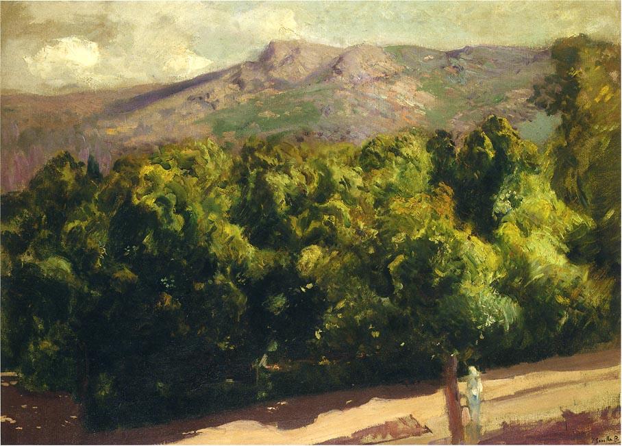 Wikioo.org - The Encyclopedia of Fine Arts - Painting, Artwork by Joaquin Sorolla Y Bastida - Gardens at San Ildefonso
