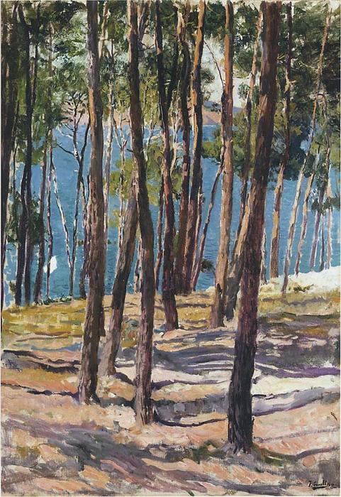 Wikioo.org - The Encyclopedia of Fine Arts - Painting, Artwork by Joaquin Sorolla Y Bastida - Pine Trees