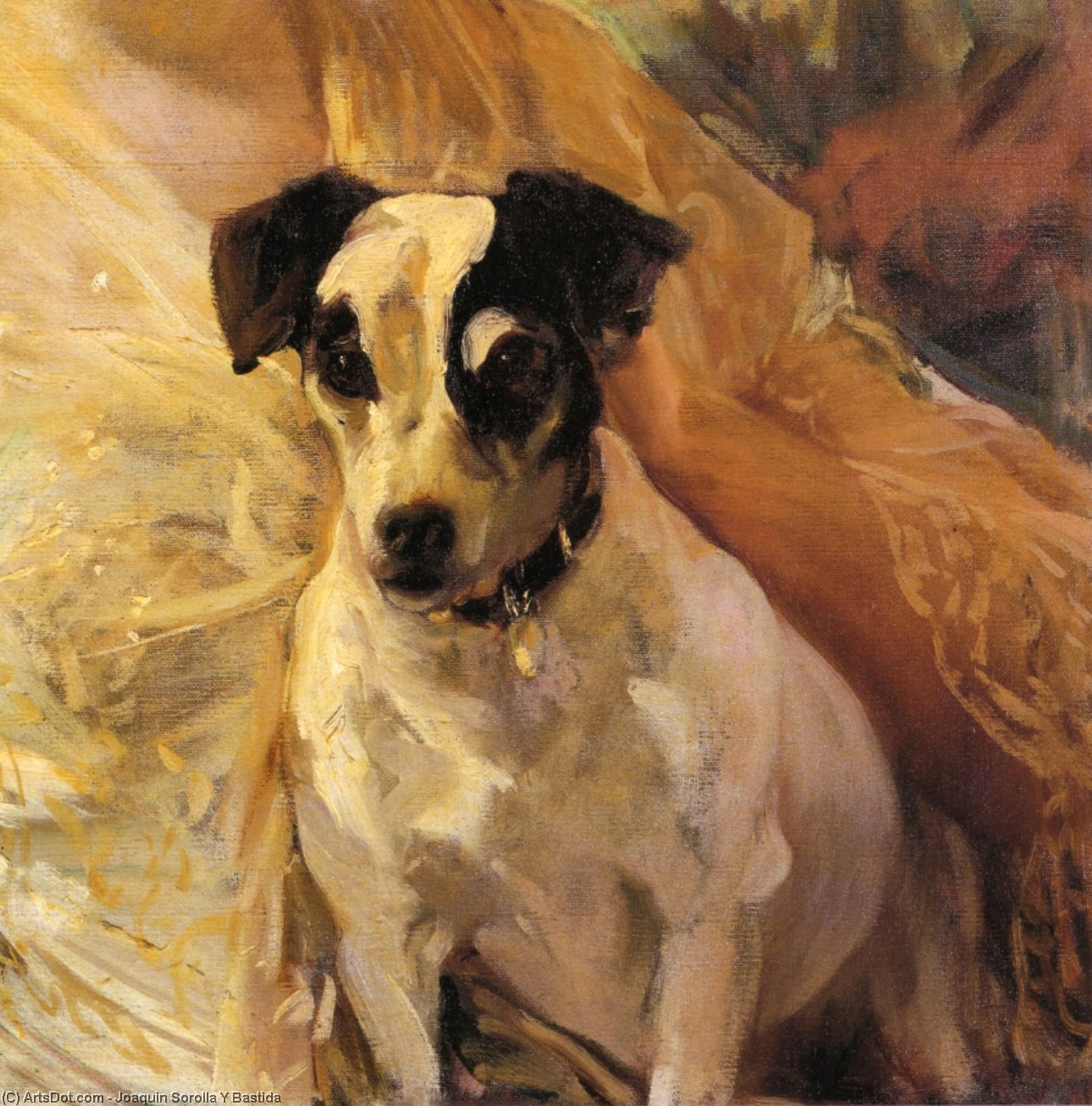 Wikioo.org - The Encyclopedia of Fine Arts - Painting, Artwork by Joaquin Sorolla Y Bastida - Portrait of a Jack Russell