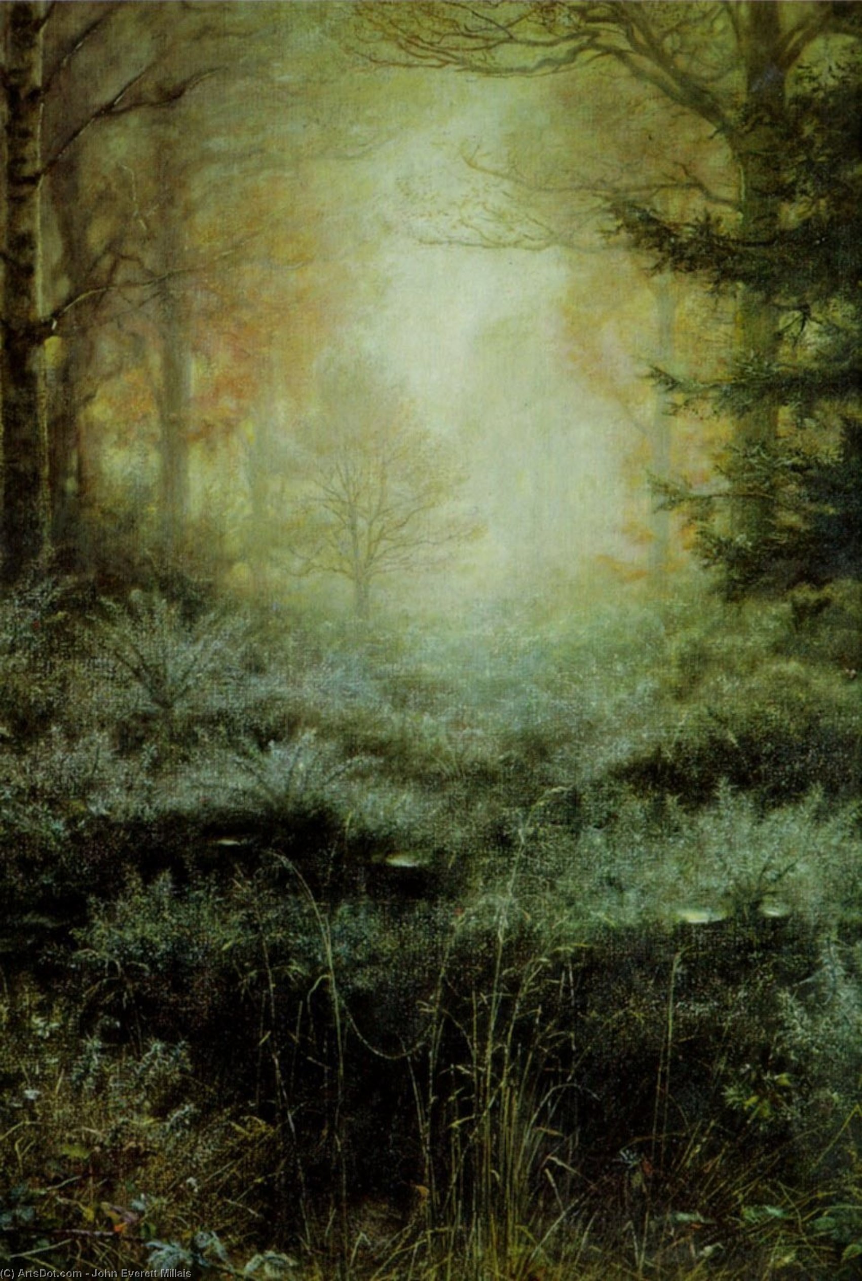 WikiOO.org - دایره المعارف هنرهای زیبا - نقاشی، آثار هنری John Everett Millais - Dew Drenched Furze