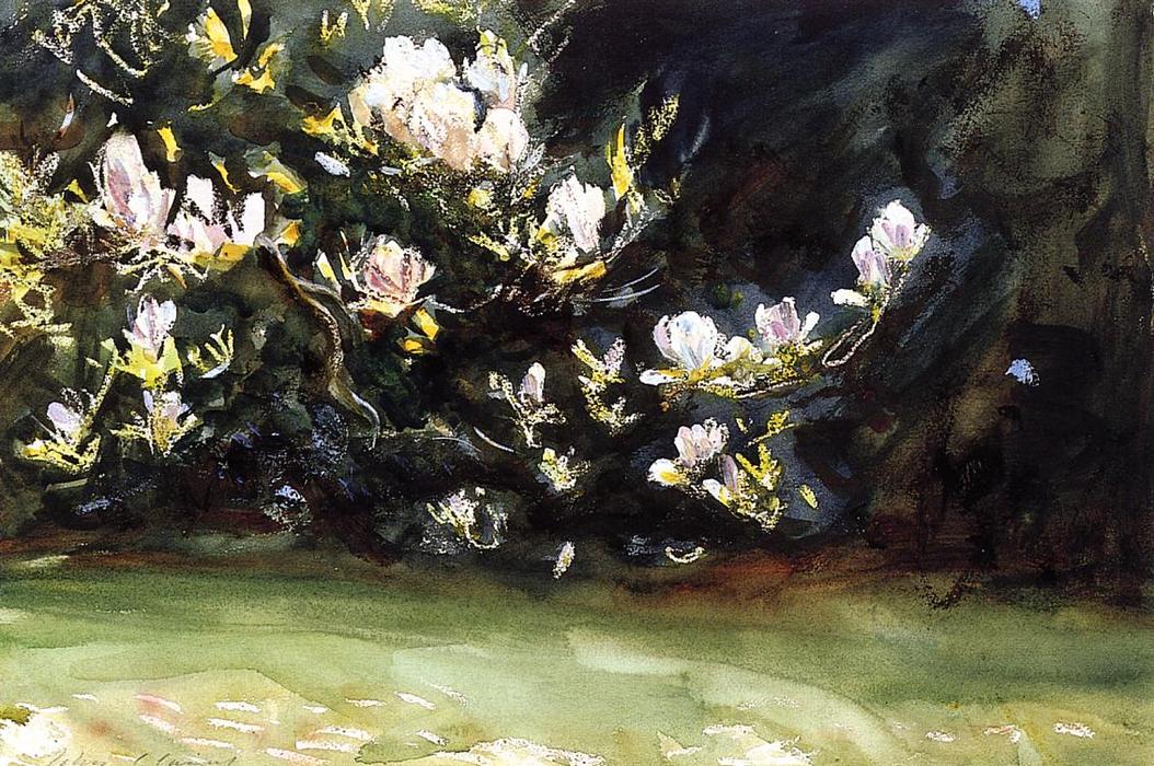 WikiOO.org - Encyclopedia of Fine Arts - Lukisan, Artwork John Singer Sargent - Magnolias