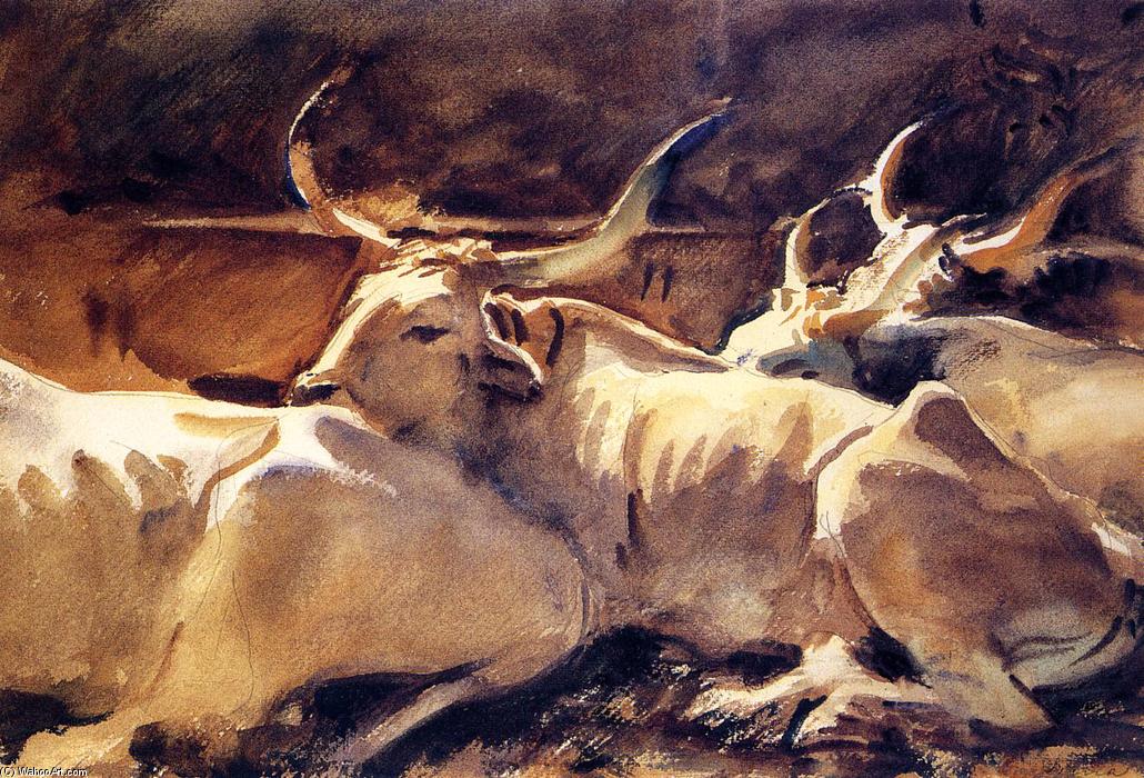 Wikioo.org - Encyklopedia Sztuk Pięknych - Malarstwo, Grafika John Singer Sargent - Oxen in Repose