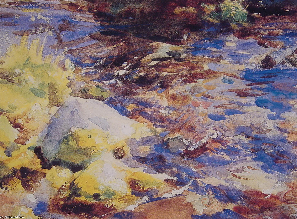Wikioo.org - สารานุกรมวิจิตรศิลป์ - จิตรกรรม John Singer Sargent - Reflections Rocks and Water