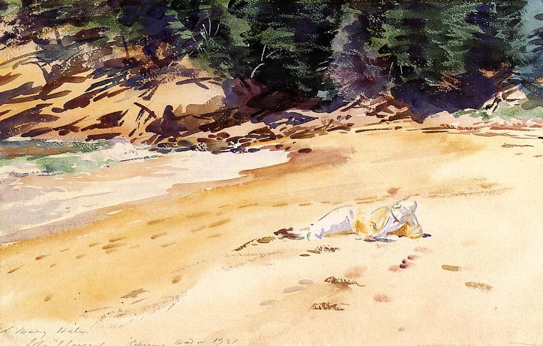 Wikioo.org - The Encyclopedia of Fine Arts - Painting, Artwork by John Singer Sargent - Sand Beach, Schooner Head, Maine